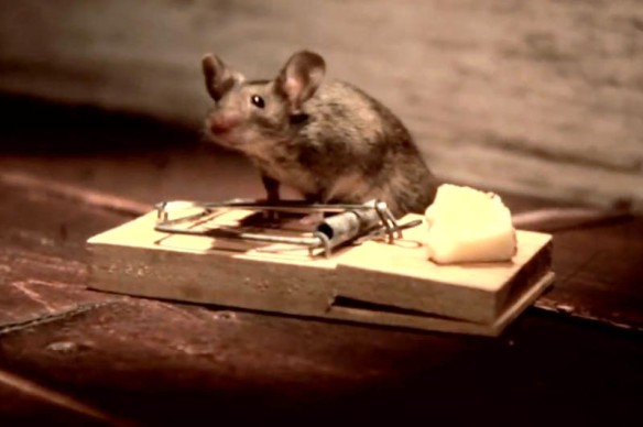 Mouse Trap - Cheese Advertisement 